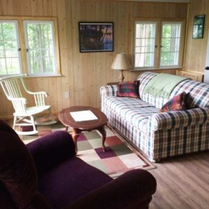 Cabin 2 living room with wood-paneled walls