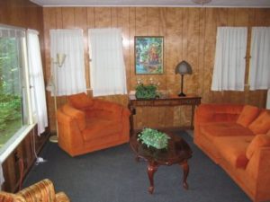 Cabin living room with wood-paneled walls