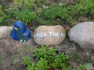 Hand-painted WA‑GA‑THA‑KA rock beside flowers