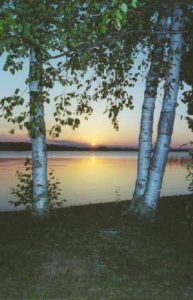 Sunset over Wabana Lake framed by birch trees
