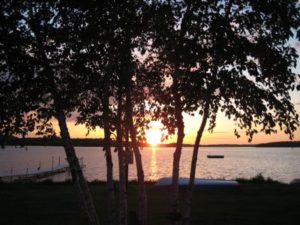 Sunset silhouetted through lakeside trees