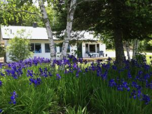 Exterior of Cabin 6 with purple irises